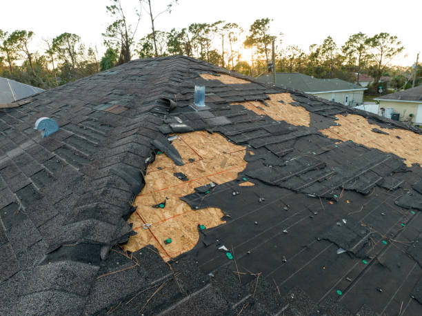 Asphalt Shingles Roofing in Castleton On Hudson, NY